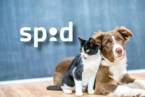 Cane e gatto vicini e logo SPID sullo sfondo