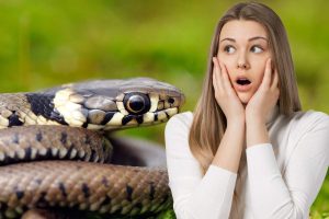 serpente donna spaventata