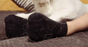 Vestiti neri? Addio peli in lavatrice: la soluzione ce l’abbiamo tutti in cucina