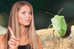 cimice donna gesto no