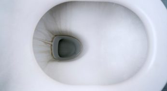 Che fastidio le macchie gialle nel water: bastano questi 4 ingredienti economici per eliminarle