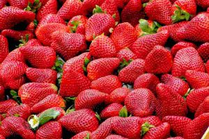 fragole