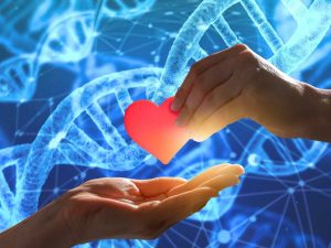 sfondo DNA e mani che si scambiano sagoma cuore