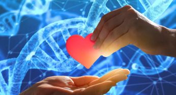 L’amore rende Supereroi, lo dice la scienza: come l’affetto modifica il DNA