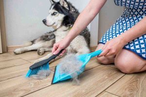 Cane seduto a terra e persona che raccoglie peli