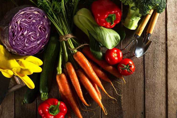 Verdure fresche