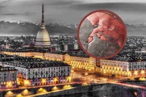 Torino e Toro rosso
