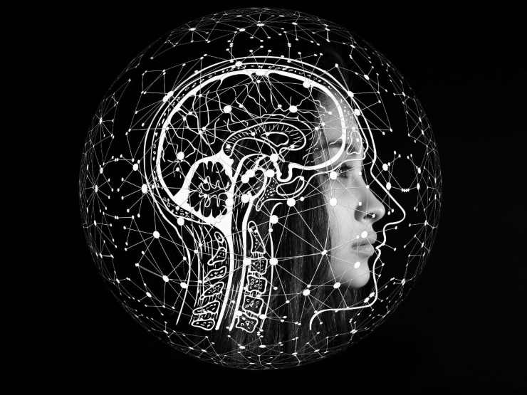cervello umano donna digitalizzato