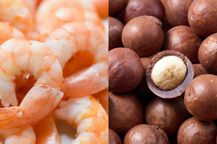 Gamberi e noci di macadamia