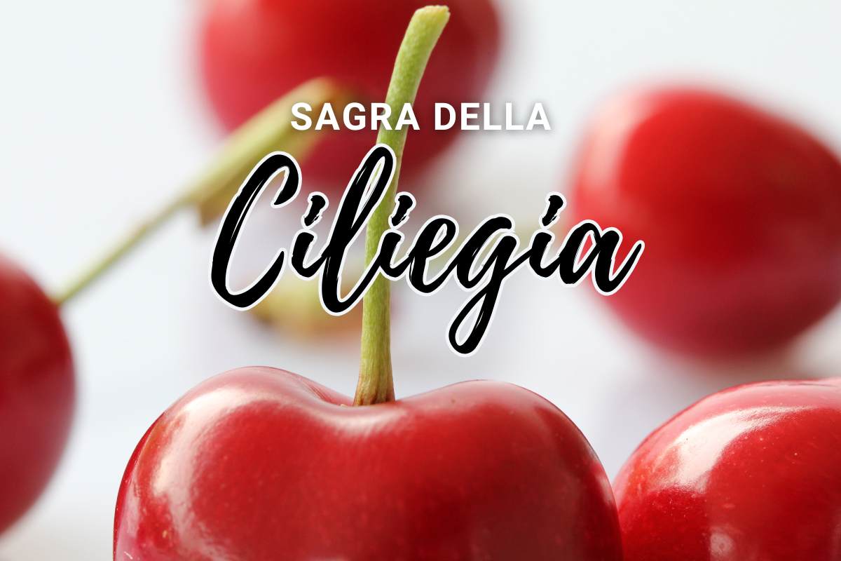 Ciliegie e scritta "sagra della ciliegia"