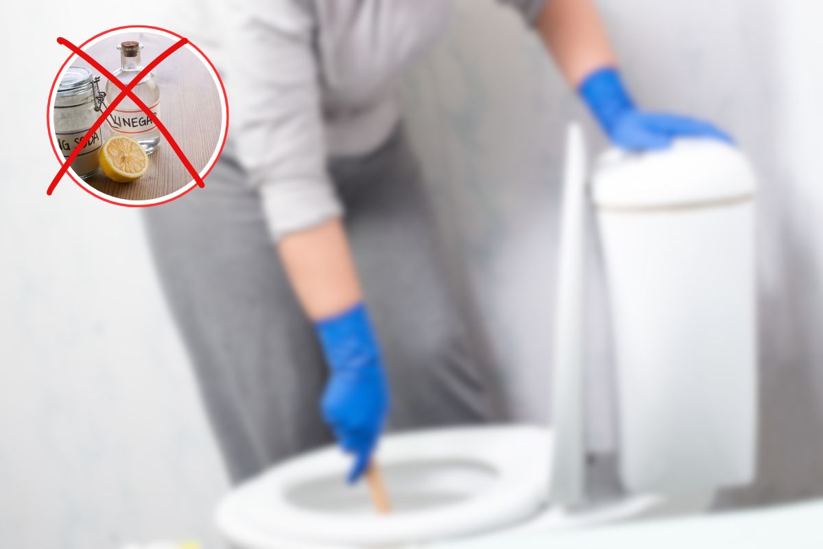 donna che pulisce wc ed x rossa su icona aceto e bicarbonato