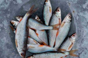 pesce pescato