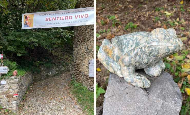Sentiero vivo, scultura rana