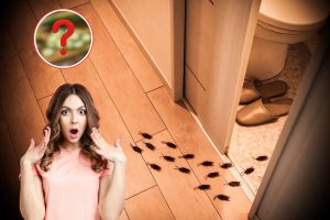 scarafaggi in casa, donna sorpresa e cetriolo sfocato con punto interrogativo rosso