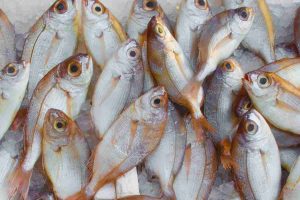 pesce
