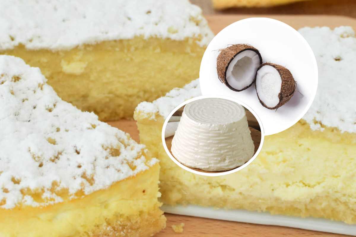 Una torta soffice e, in evidenza, un cocco e una ricotta